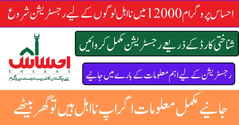 Ehsaas Program 12000 Online Check Complete Guide 2025