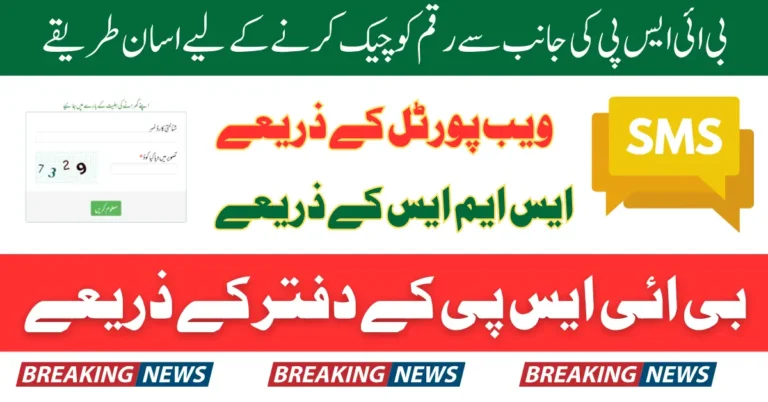 BISP 8171 Result Check By CNIC Using Online Portal SMS And Tehsil Office