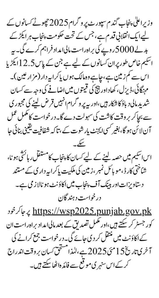 CM Punjab Wheat Support Program 2025 Full Details for Small Farmers
