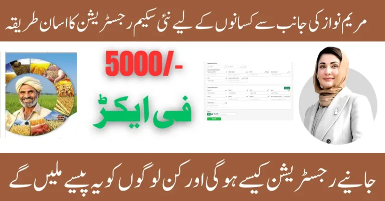 CM Punjab Wheat Support Program 2025 Full Details for Small Farmers